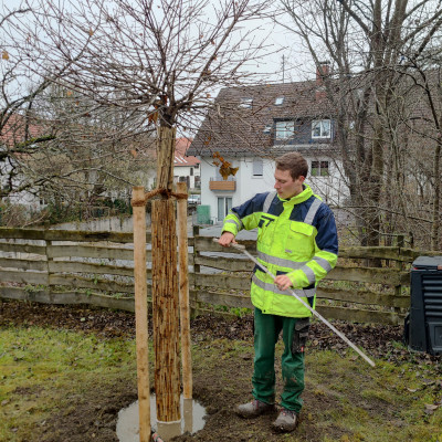 Jobs - Helmes Gartenbau