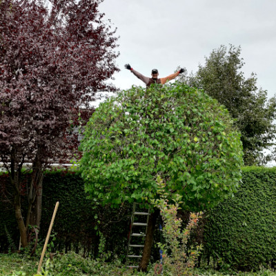 Gartenbau Helmes Jobs