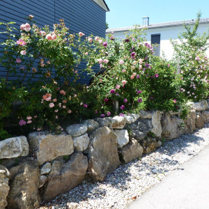 Helmes Gartenbau - Mauern
