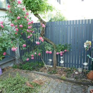 Helmes Gartenbau - Sichtschutz und Lärmschutz