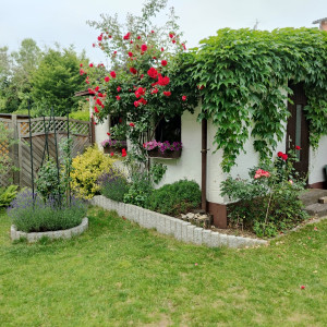 Helmes Gartenbau - Sonstiges