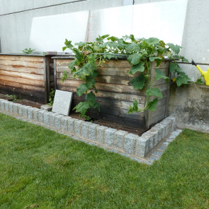 Helmes Gartenbau - Sonstiges