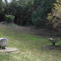 Garten-Pflege
